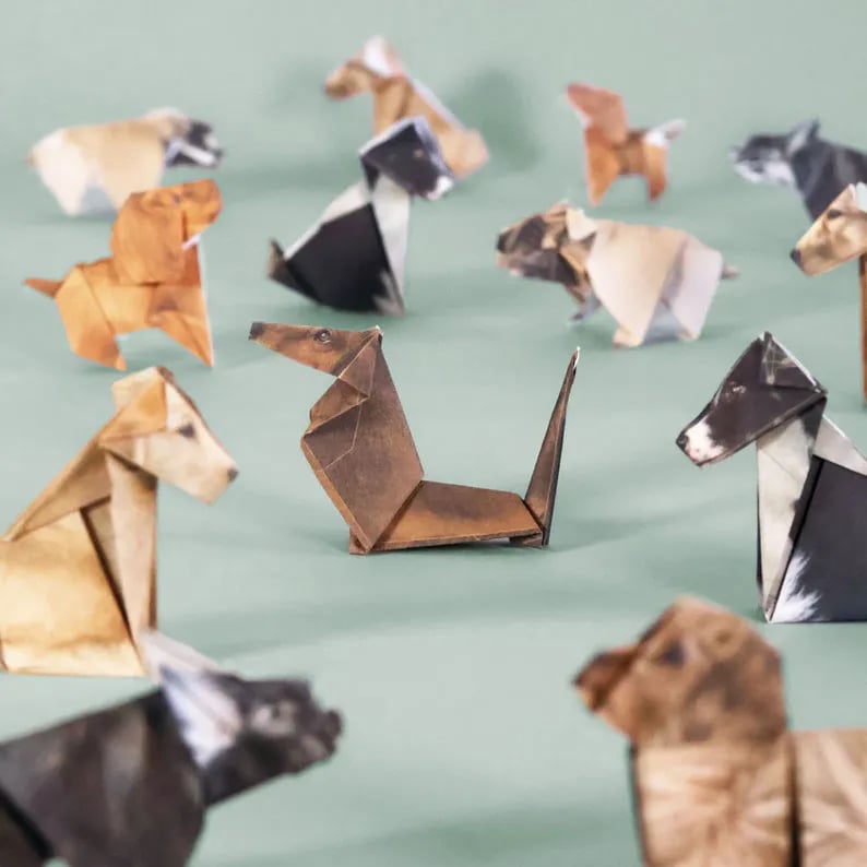✨Easy DIY Paper Cats Kit | Guided Lines & Instructions Included