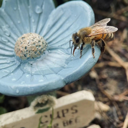 🐝LAST DAY 49% OFF - Flower-Shaped Bee Watering Station💧