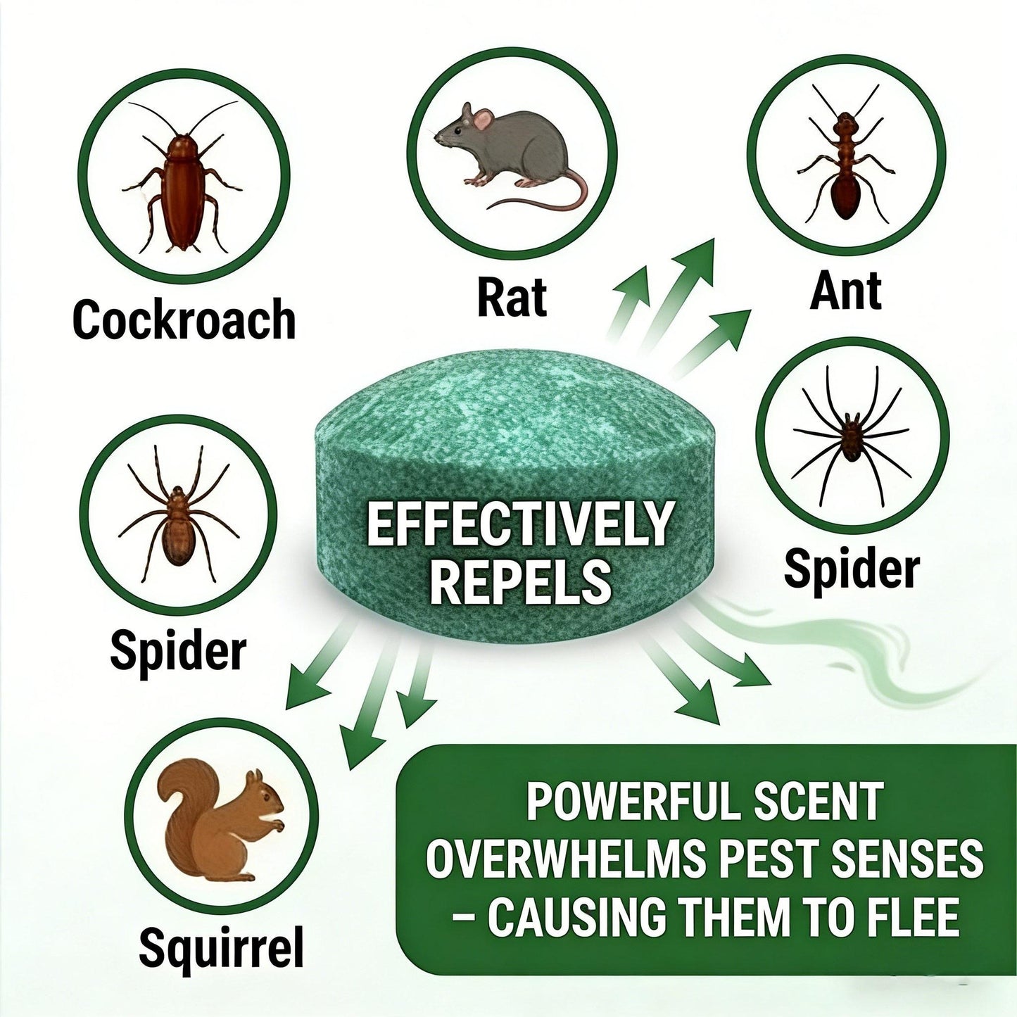 💥LAST DAY BUY 1 GET 1 FREE💥🟢 Natural Peppermint Rodent Repellent Tablets – 12 Pack