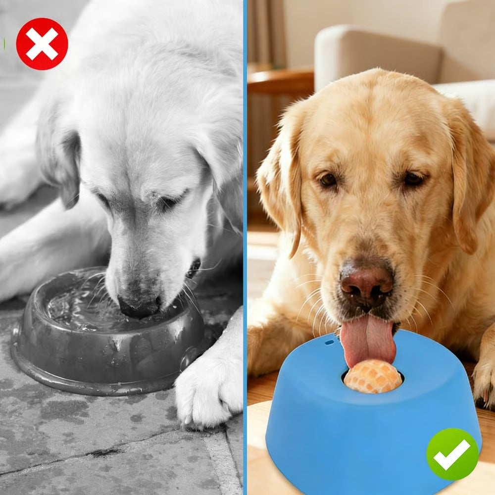 Anti-Bloat Slow Feeder - Vet Recommended